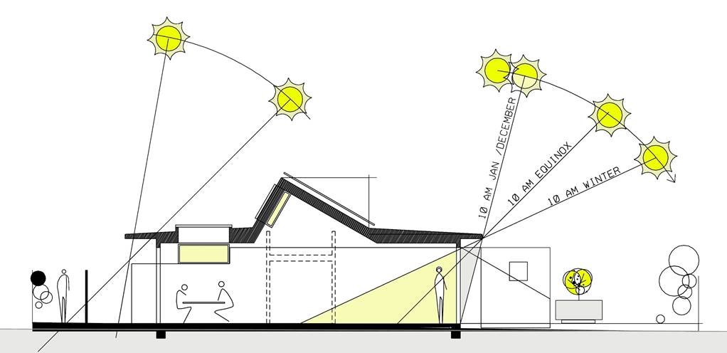 Stellulata Home