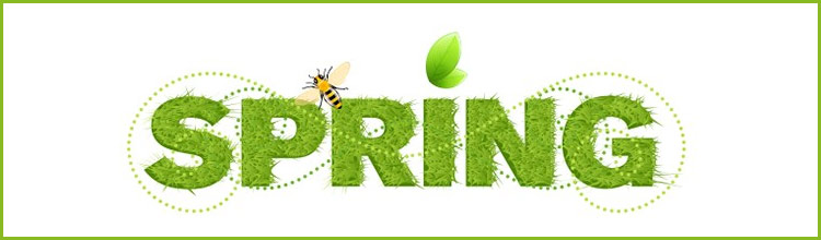 5 Ways To Prep Your Place For Spring