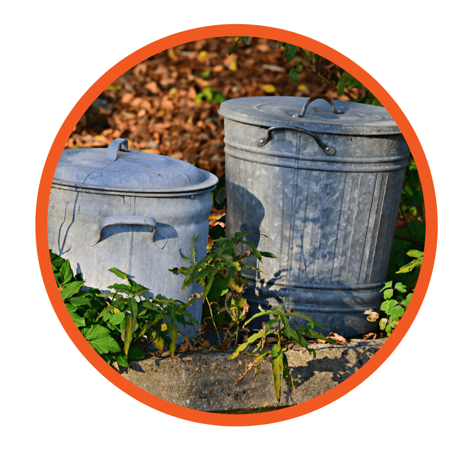Food Waste