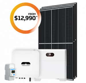Store & Save $12,990
