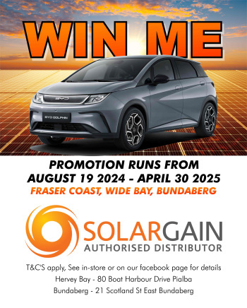 Dolphin BYD Competition