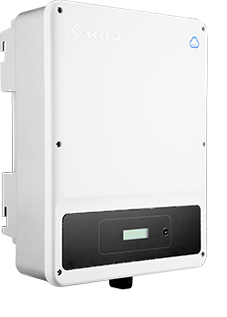 DNS-01 (1).png