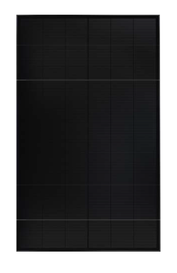 p19 black