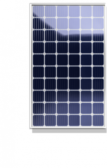 Jinko Perc Solar module