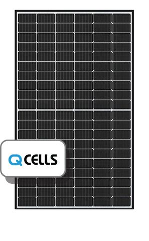 Q Cells
