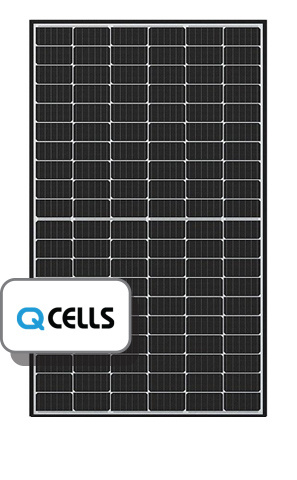 Q Cells