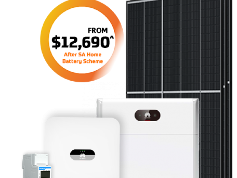 6.6 kW Store & Save