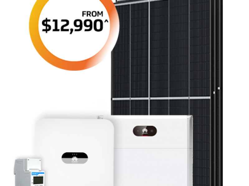 Store & Save $12,990