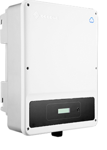 DNS-01 (1).png